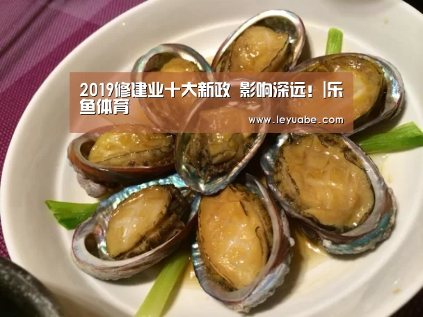 2019修建业十大新政 影响深远!|乐鱼体育(图4) 登录入口