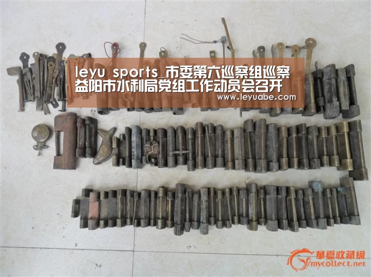 leyu sports_市委第六巡察组巡察益阳市水利局党组工作动员会召开(图2) 乐鱼体育